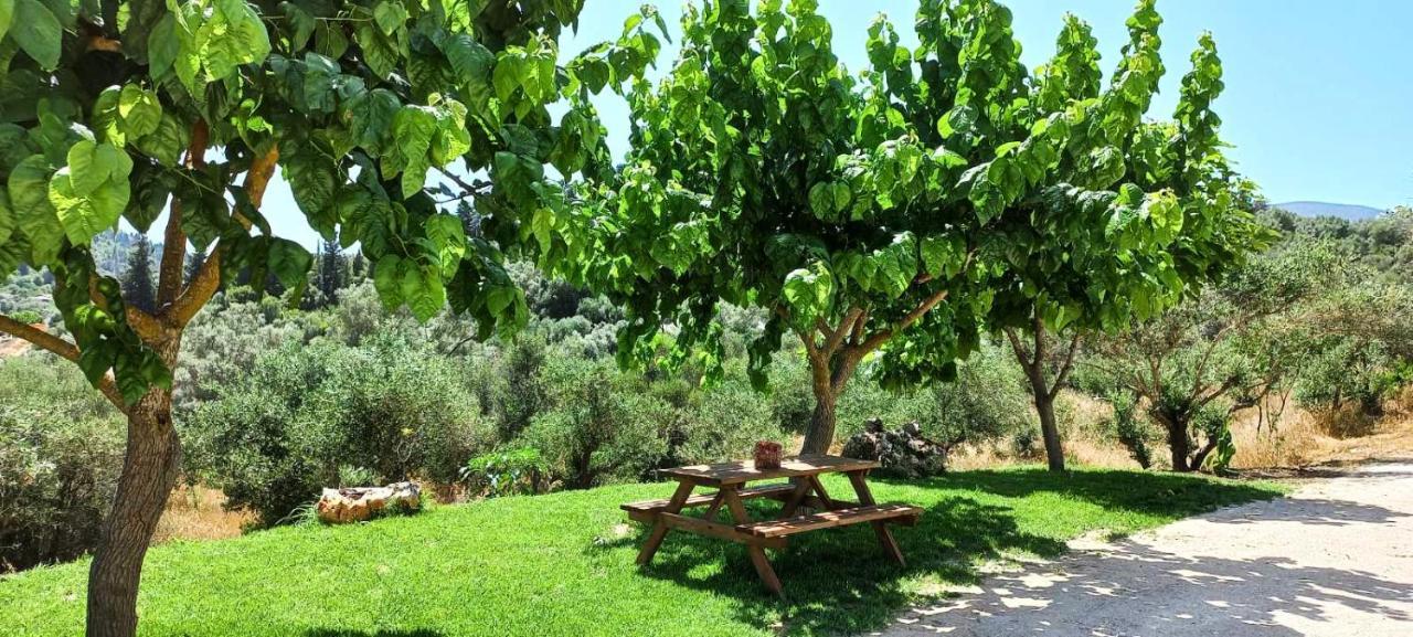 Lily Home_Lefkada ~ Private Country House Kondaraíni エクステリア 写真