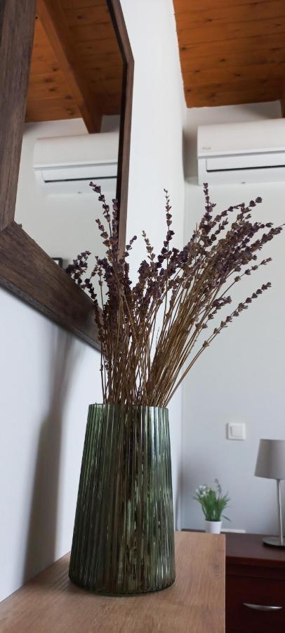Lily Home_Lefkada ~ Private Country House Kondaraíni エクステリア 写真