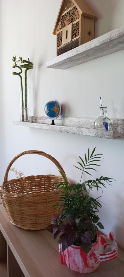 Lily Home_Lefkada ~ Private Country House Kondaraíni エクステリア 写真