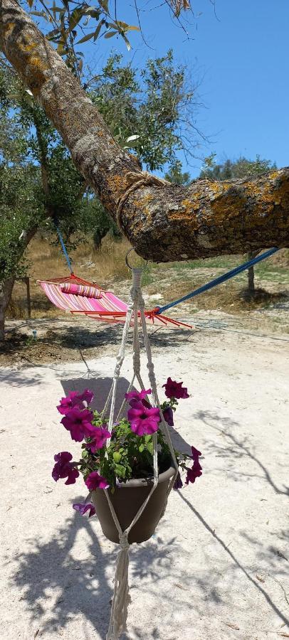 Lily Home_Lefkada ~ Private Country House Kondaraíni エクステリア 写真