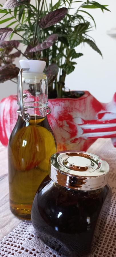 Lily Home_Lefkada ~ Private Country House Kondaraíni エクステリア 写真