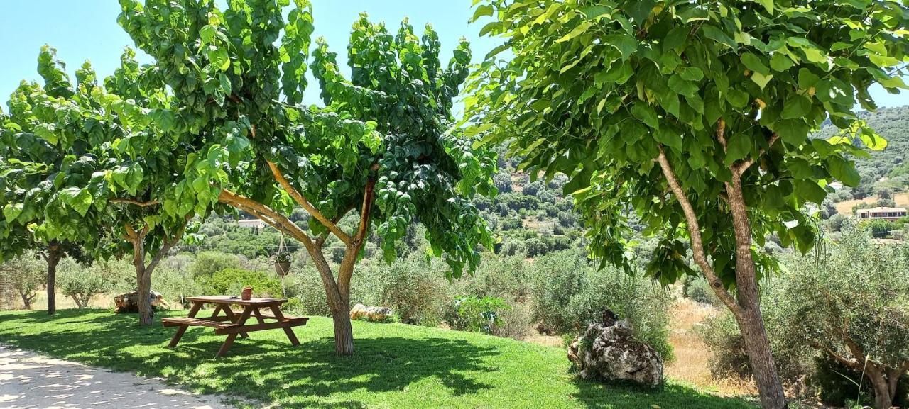 Lily Home_Lefkada ~ Private Country House Kondaraíni エクステリア 写真