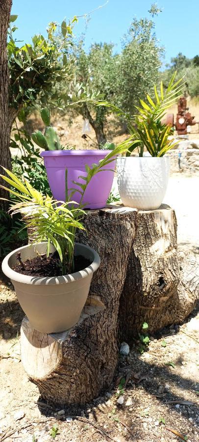 Lily Home_Lefkada ~ Private Country House Kondaraíni エクステリア 写真