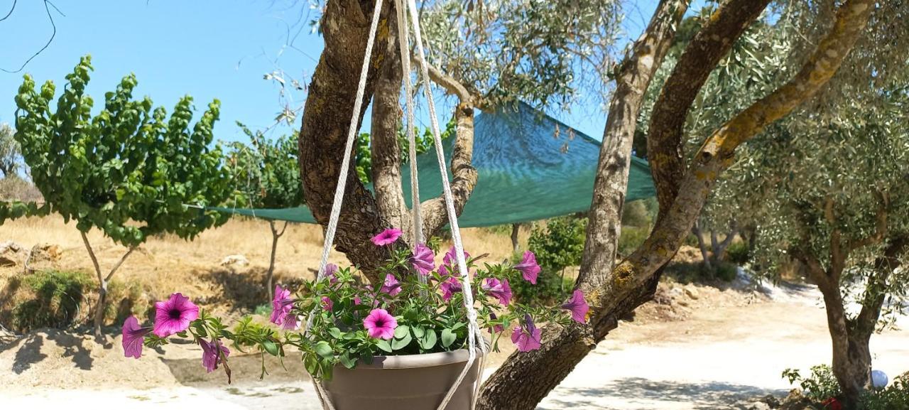 Lily Home_Lefkada ~ Private Country House Kondaraíni エクステリア 写真