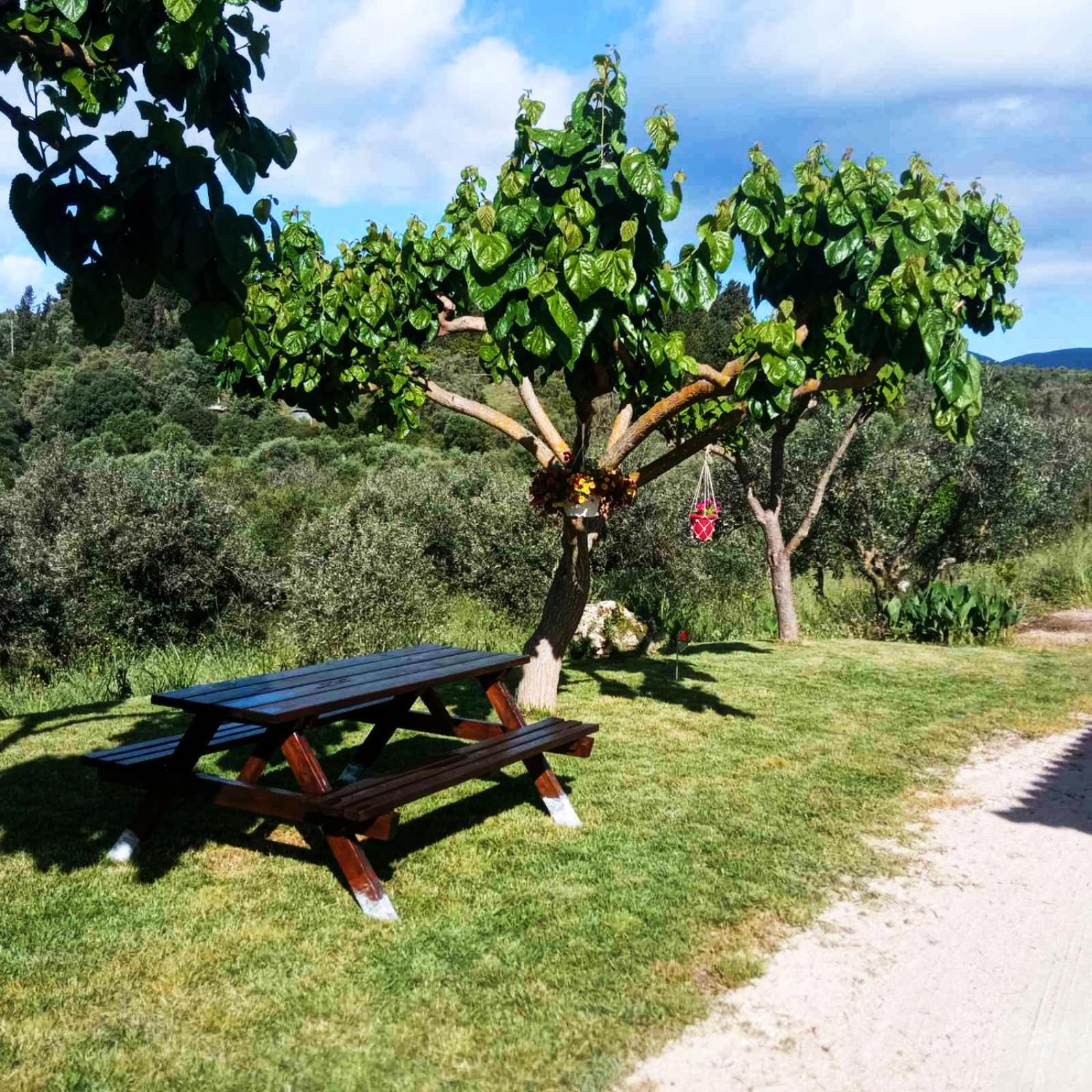 Lily Home_Lefkada ~ Private Country House Kondaraíni エクステリア 写真