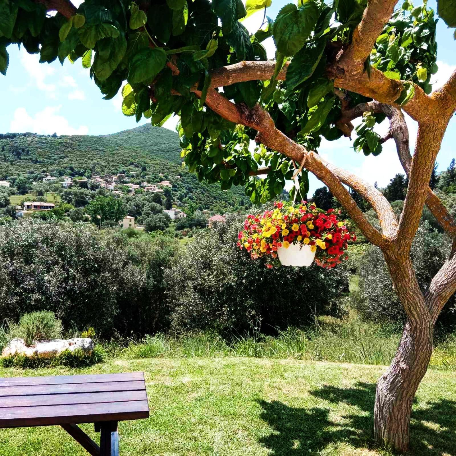 Lily Home_Lefkada ~ Private Country House Kondaraíni エクステリア 写真